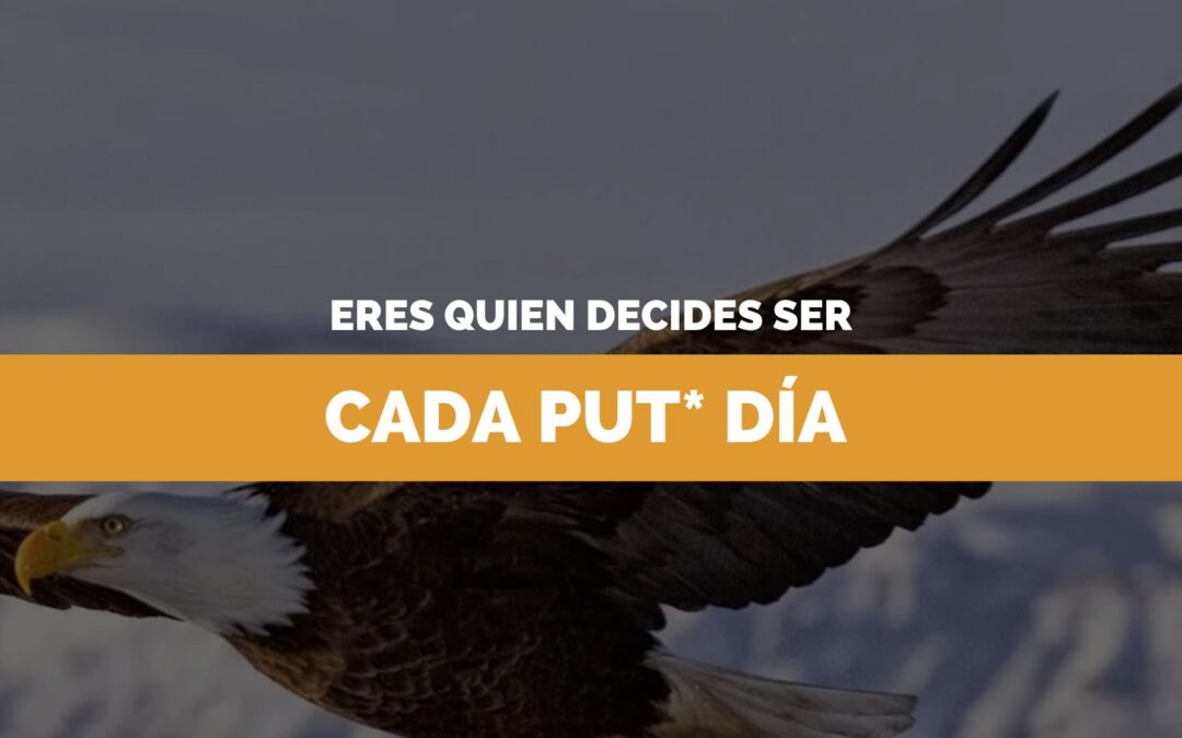 Volar alto para surcar los cielos