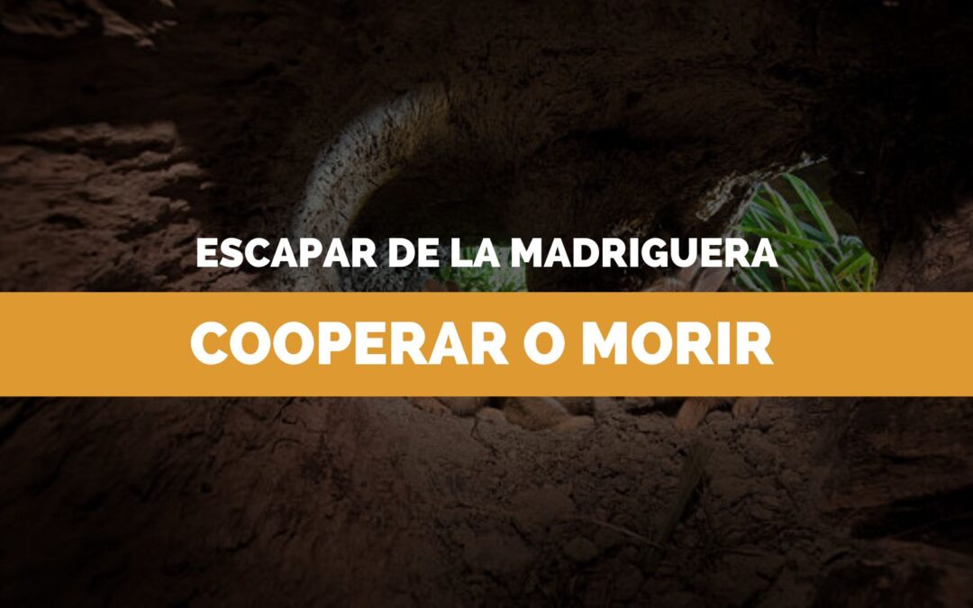 El precio justo: cooperar o morir