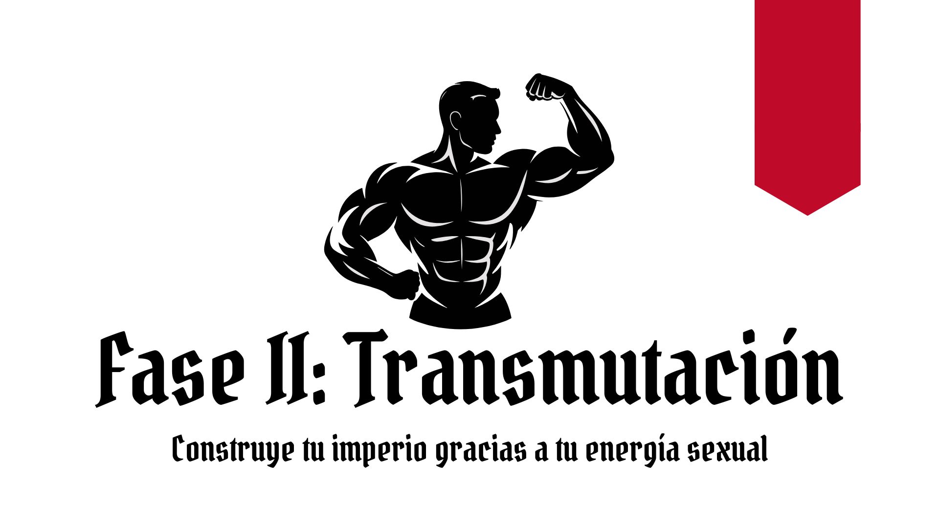Servicios Modo Guerrero (1)