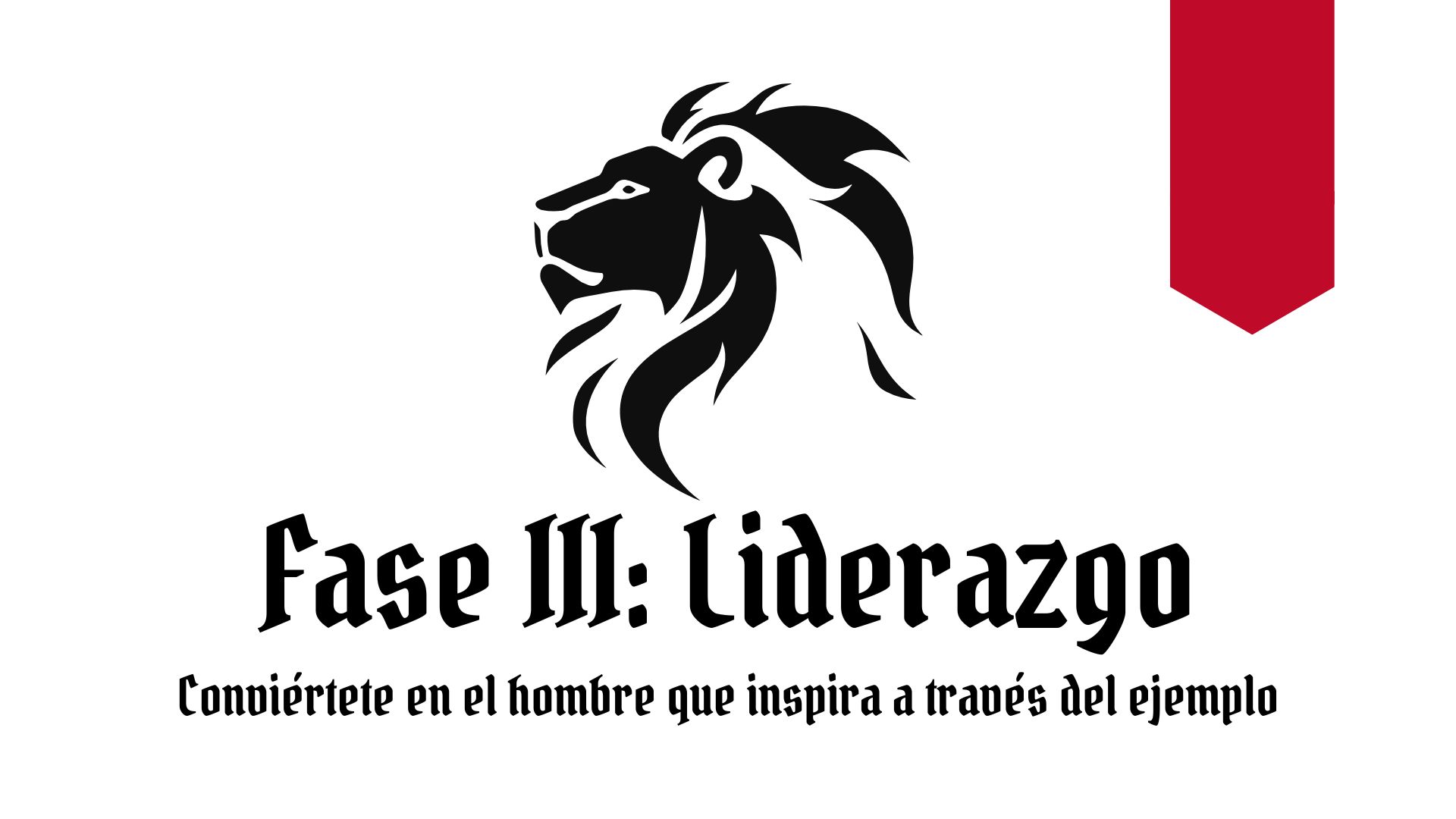 Servicios Modo Guerrero (2)