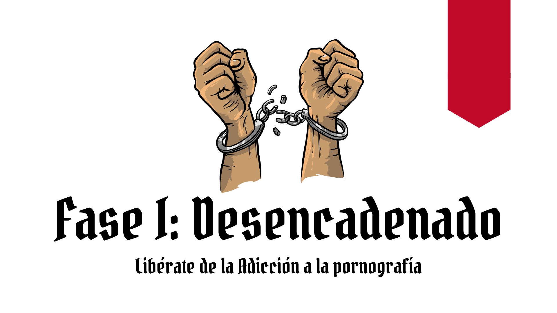 Servicios Modo Guerrero